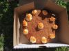 Imagen de Carriot cake